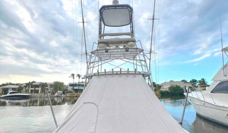 
								LUHRS EXPRESS 40 full									