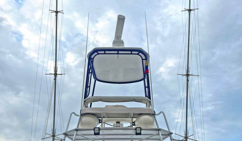 
								LUHRS EXPRESS 40 full									