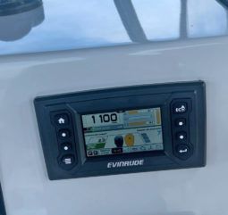 
										PAREJA MOTORES EVINRUDE E-TEC G2 300HP full									