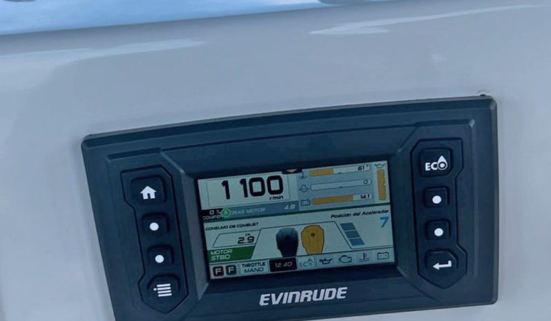 
								PAREJA MOTORES EVINRUDE E-TEC G2 300HP full									