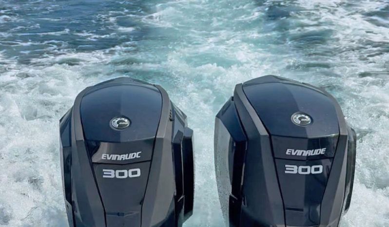 
								PAREJA MOTORES EVINRUDE E-TEC G2 300HP full									