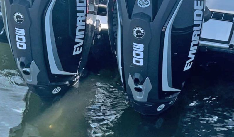 
								PAREJA MOTORES EVINRUDE E-TEC G2 300HP full									