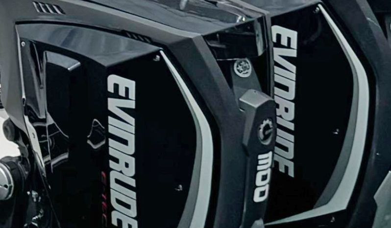 
								PAREJA MOTORES EVINRUDE E-TEC G2 300HP full									
