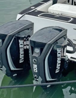 
										PAREJA MOTORES EVINRUDE E-TEC G2 300HP full									