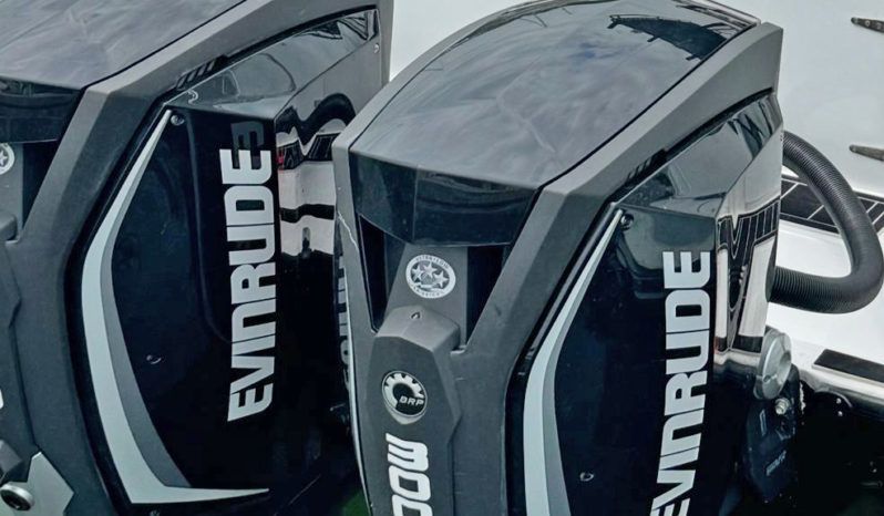 
								PAREJA MOTORES EVINRUDE E-TEC G2 300HP full									