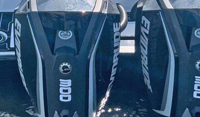 
								PAREJA MOTORES EVINRUDE E-TEC G2 300HP full									
