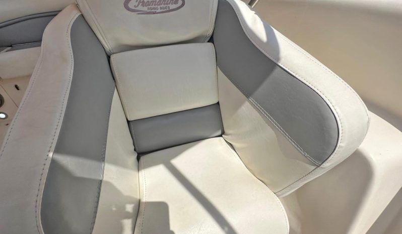 
								PROMARINE SPORT 33 full									