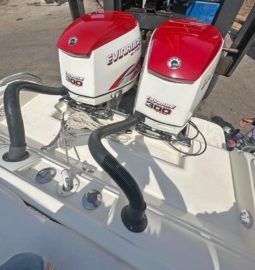 
										PROMARINE SPORT 33 full									