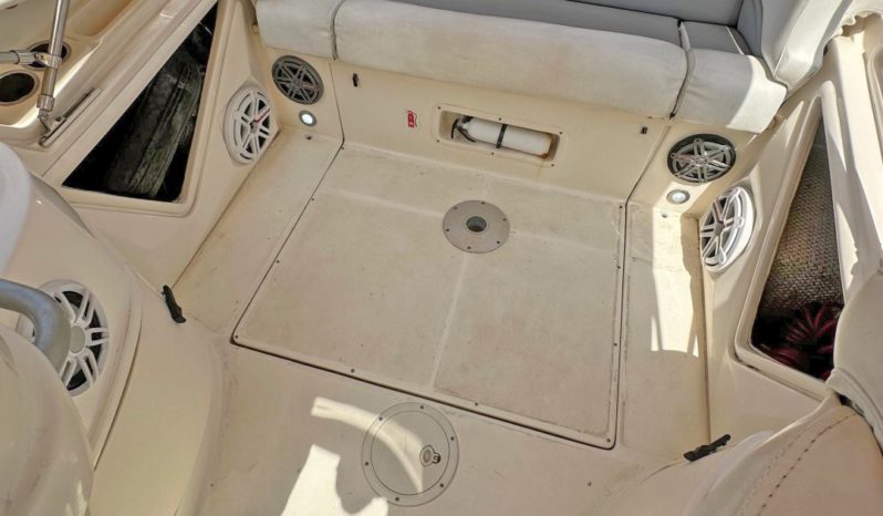 
								PROMARINE SPORT 33 full									