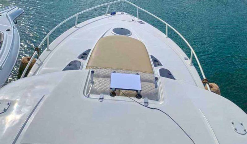 
								PROMARINE XPS 34 full									