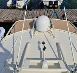 
										PROMARINE XPS 34 full									