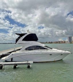 
										SEA RAY SEDAN BRIDGE 37 full									