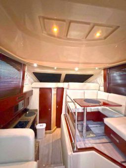 
										SEA RAY SEDAN BRIDGE 37 full									