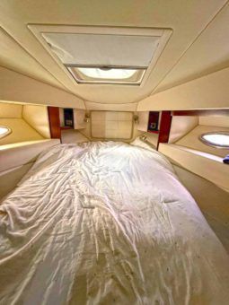 
										SEA RAY SEDAN BRIDGE 37 full									