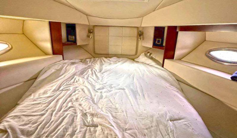 
								SEA RAY SEDAN BRIDGE 37 full									