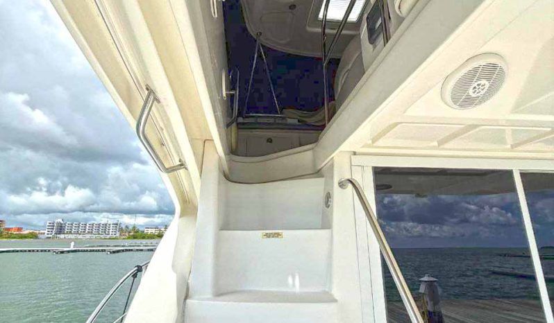 
								SEA RAY SEDAN BRIDGE 37 full									