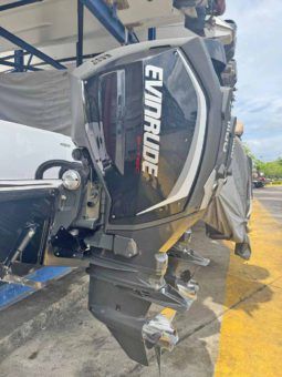 
										PAREJA MOTORES EVINRUDE E-TEC G2 300HP full									