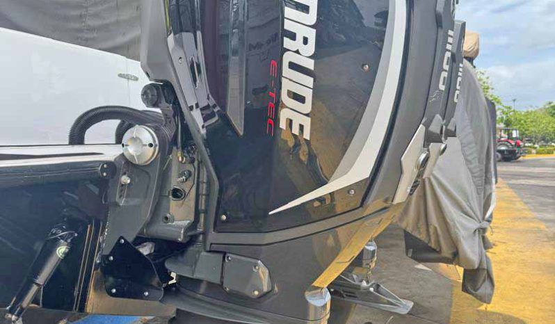 
								PAREJA MOTORES EVINRUDE E-TEC G2 300HP full									