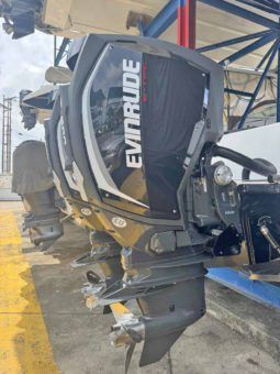 
										PAREJA MOTORES EVINRUDE E-TEC G2 300HP full									
