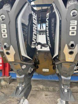 
										PAREJA MOTORES EVINRUDE E-TEC G2 300HP full									