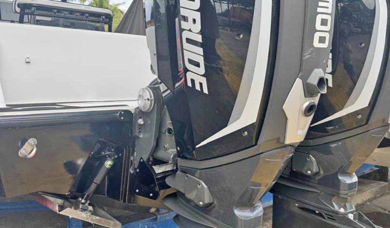 
								PAREJA MOTORES EVINRUDE E-TEC G2 300HP full									