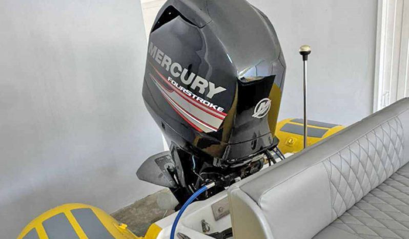 
								DINGHY CARIBE 15 full									