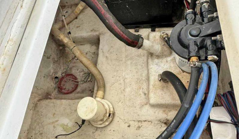 
								DINGHY CARIBE 15 full									