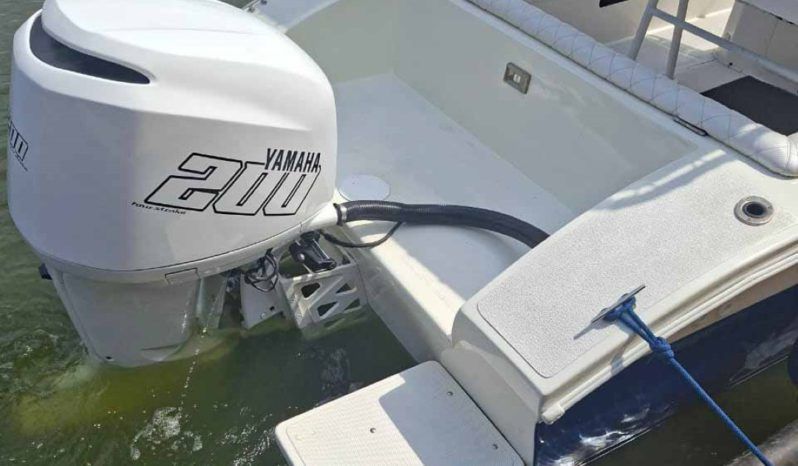 
								PROFILE OPEN 25 full									