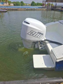 
										PROFILE OPEN 25 full									