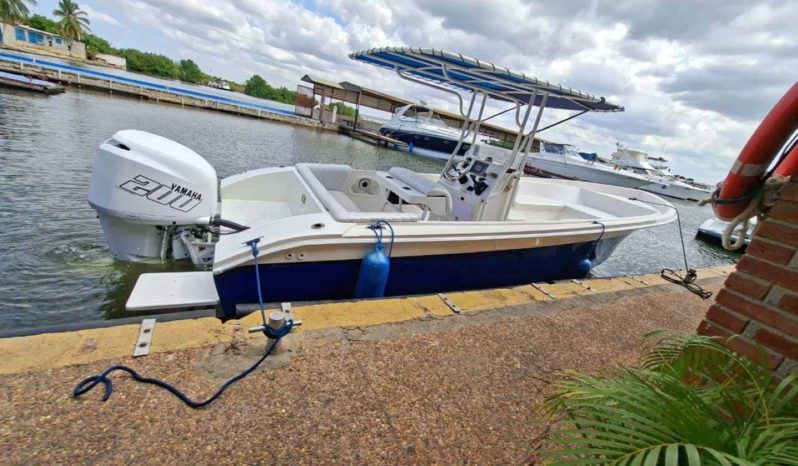 
								PROFILE OPEN 25 full									