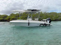 
										PROMARINE OPEN 21 full									