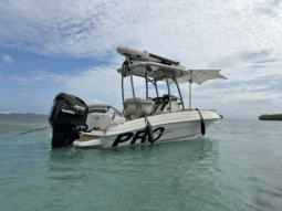 
										PROMARINE OPEN 21 full									