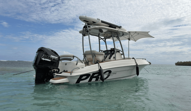 
								PROMARINE OPEN 21 full									