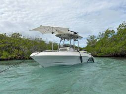 
										PROMARINE OPEN 21 full									