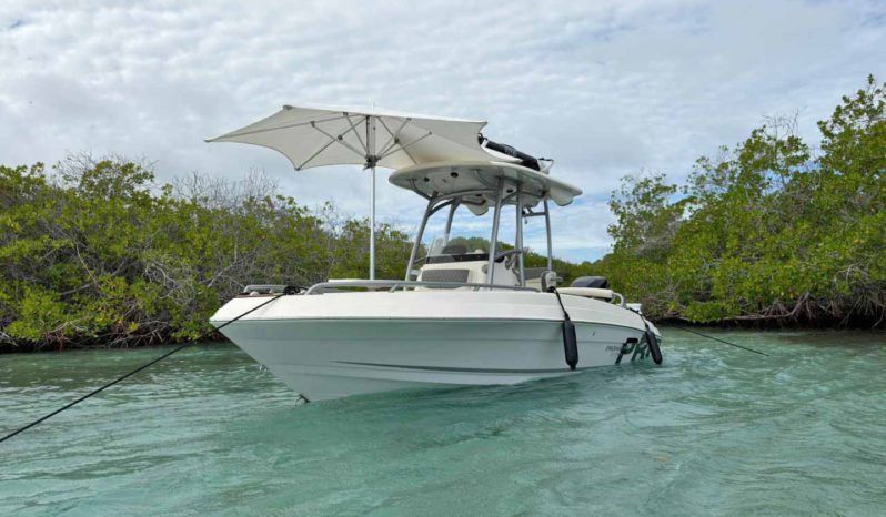 
								PROMARINE OPEN 21 full									