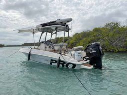 
										PROMARINE OPEN 21 full									