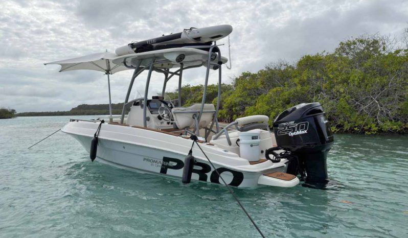 
								PROMARINE OPEN 21 full									