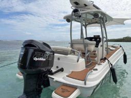 
										PROMARINE OPEN 21 full									