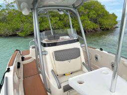 
										PROMARINE OPEN 21 full									