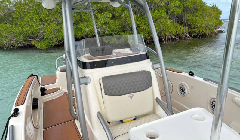 
								PROMARINE OPEN 21 full									