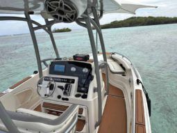 
										PROMARINE OPEN 21 full									