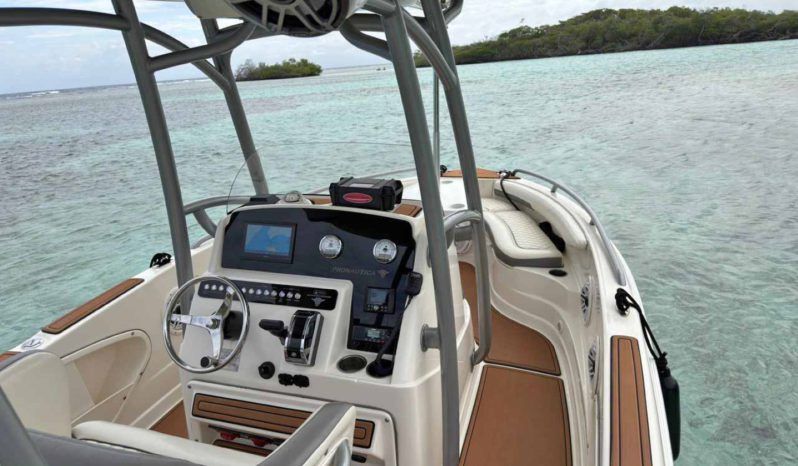 
								PROMARINE OPEN 21 full									