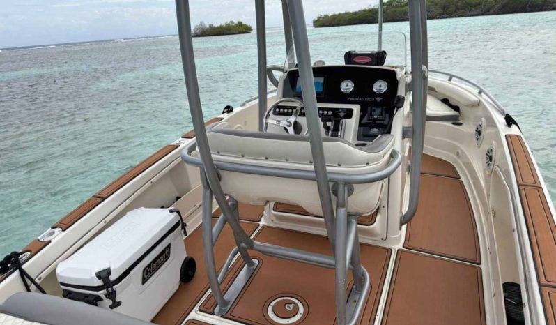 
								PROMARINE OPEN 21 full									