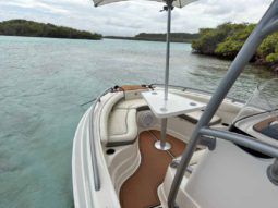 
										PROMARINE OPEN 21 full									