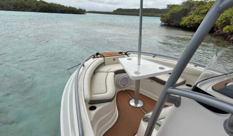 
								PROMARINE OPEN 21 full									