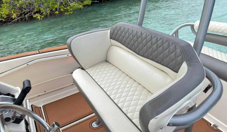 
								PROMARINE OPEN 21 full									