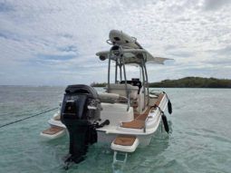 
										PROMARINE OPEN 21 full									