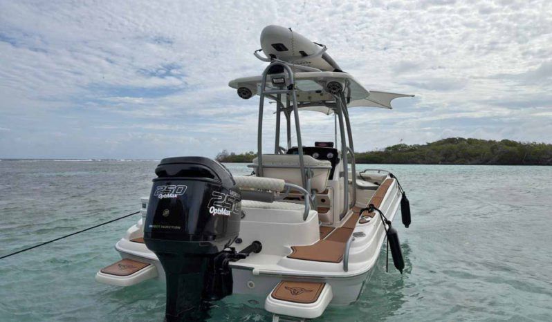 
								PROMARINE OPEN 21 full									