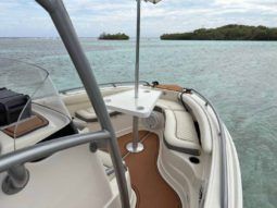 
										PROMARINE OPEN 21 full									