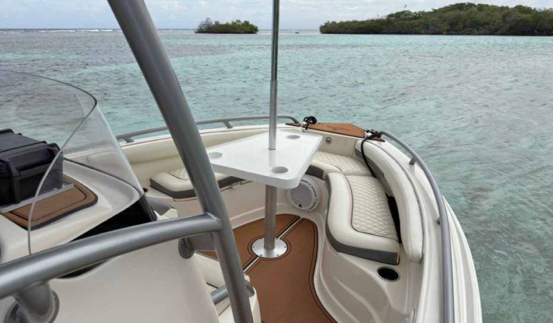 
								PROMARINE OPEN 21 full									